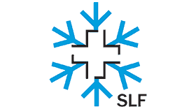 wsl-institute-for-snow-and-avalanche-research-slf-logo-vector-xs